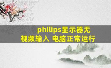 philips显示器无视频输入 电脑正常运行